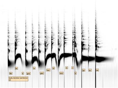 The Speech Surrogacy Systems of the Yoruba Dùndún and Bàtá Drums. On the Interface Between Organology and Phonology